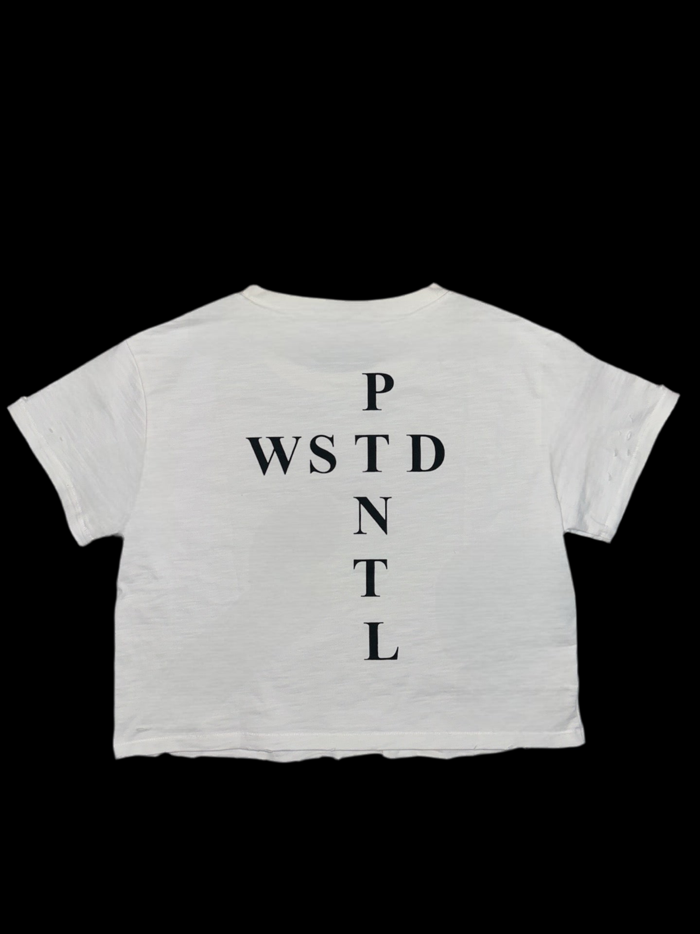 Cropped Distressed Logo Tee