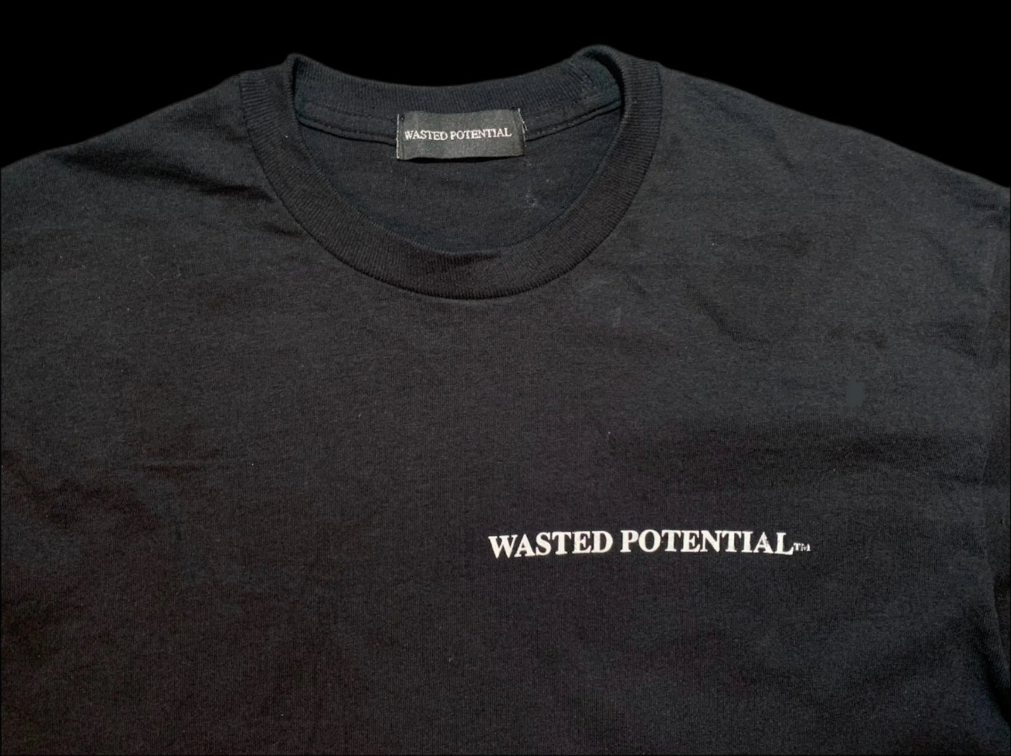 WASTED POTENTIAL Staple Logo Long Sleeve Tee