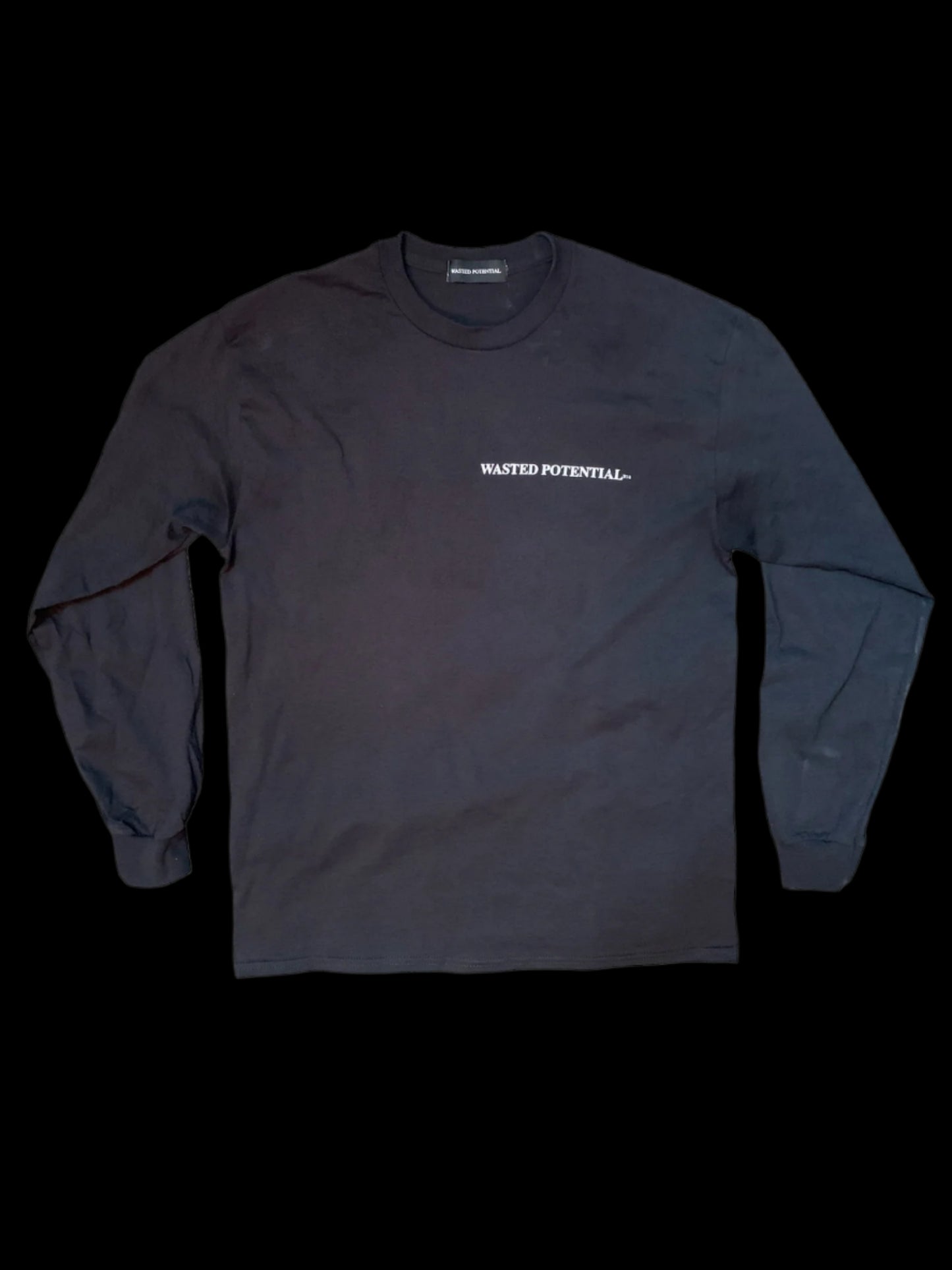 WASTED POTENTIAL Staple Logo Long Sleeve Tee